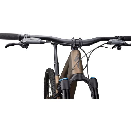 Specialized Stumpjumper 15 Comp MTB-Fully burnt gold metallic/gunmetal