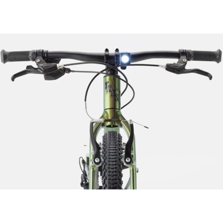 Trek Wahoo Path Kinderrad Diamant 24" chameleon...