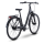 Raymon Zayn Ease CB Cityrad Wave metalgrey