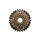 Shimano MF-TZ500 Schraubzahnkranz 7-fach