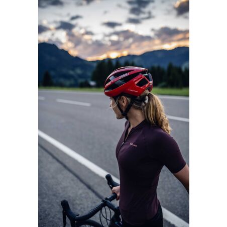 Abus Viantor Helm gleam silver