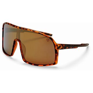 turtle brown/gold mirror