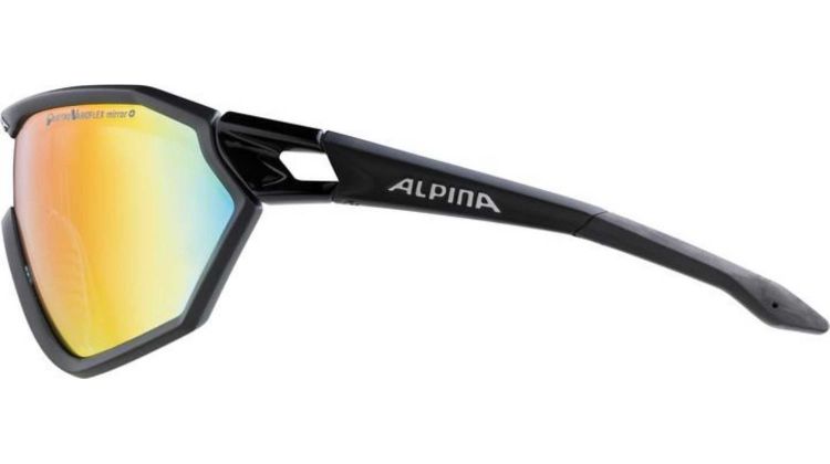 Alpina S-WAY Brille black matt QVMRB+